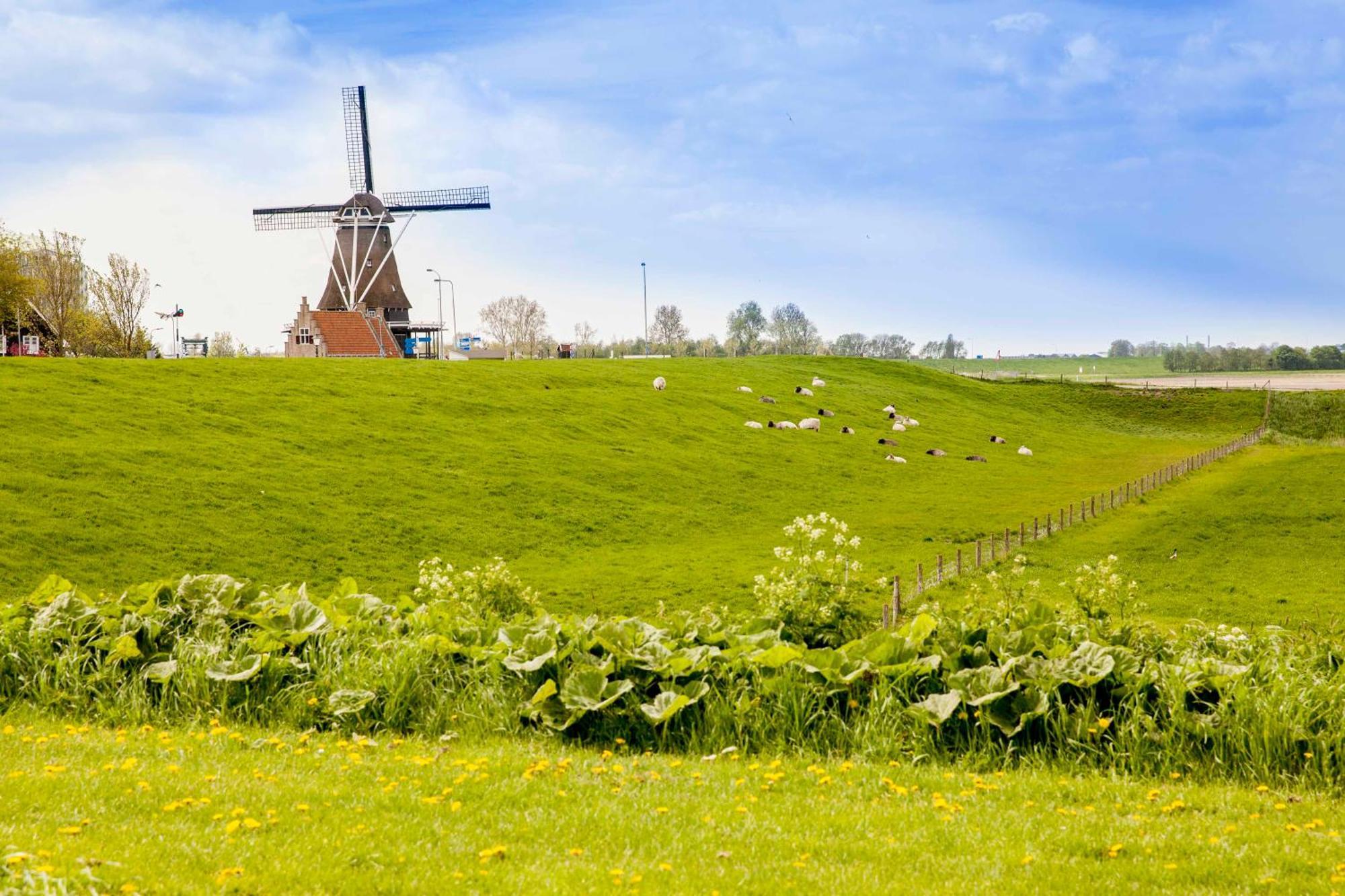 Vakantiehuisje Schelp 5 Personen - Zeezand Recreatie Stolpen エクステリア 写真