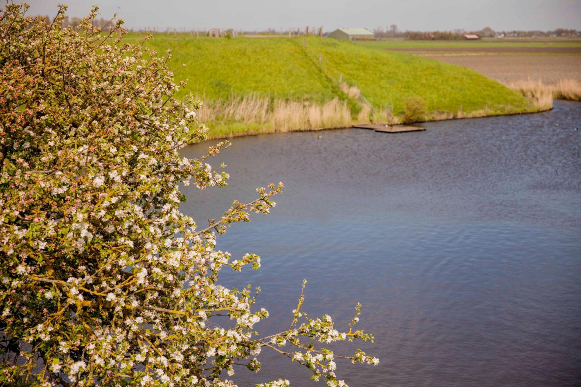 Vakantiehuisje Schelp 5 Personen - Zeezand Recreatie Stolpen エクステリア 写真